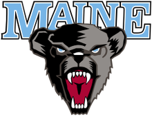 Maine Black Bears
